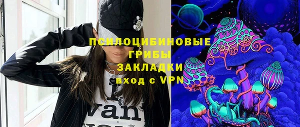 винт Алексеевка